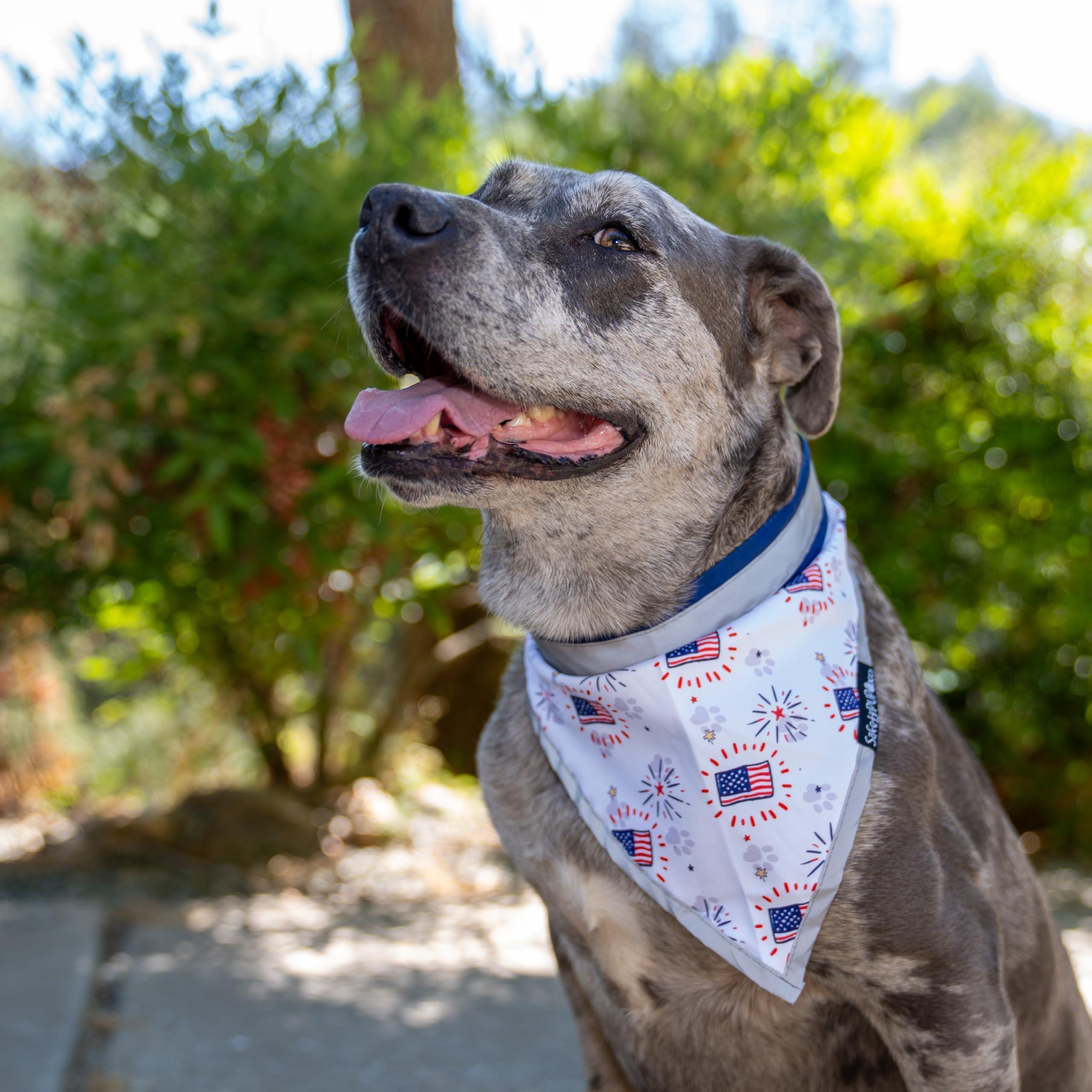 Reflective Pet Bandana 2-Pack Medium