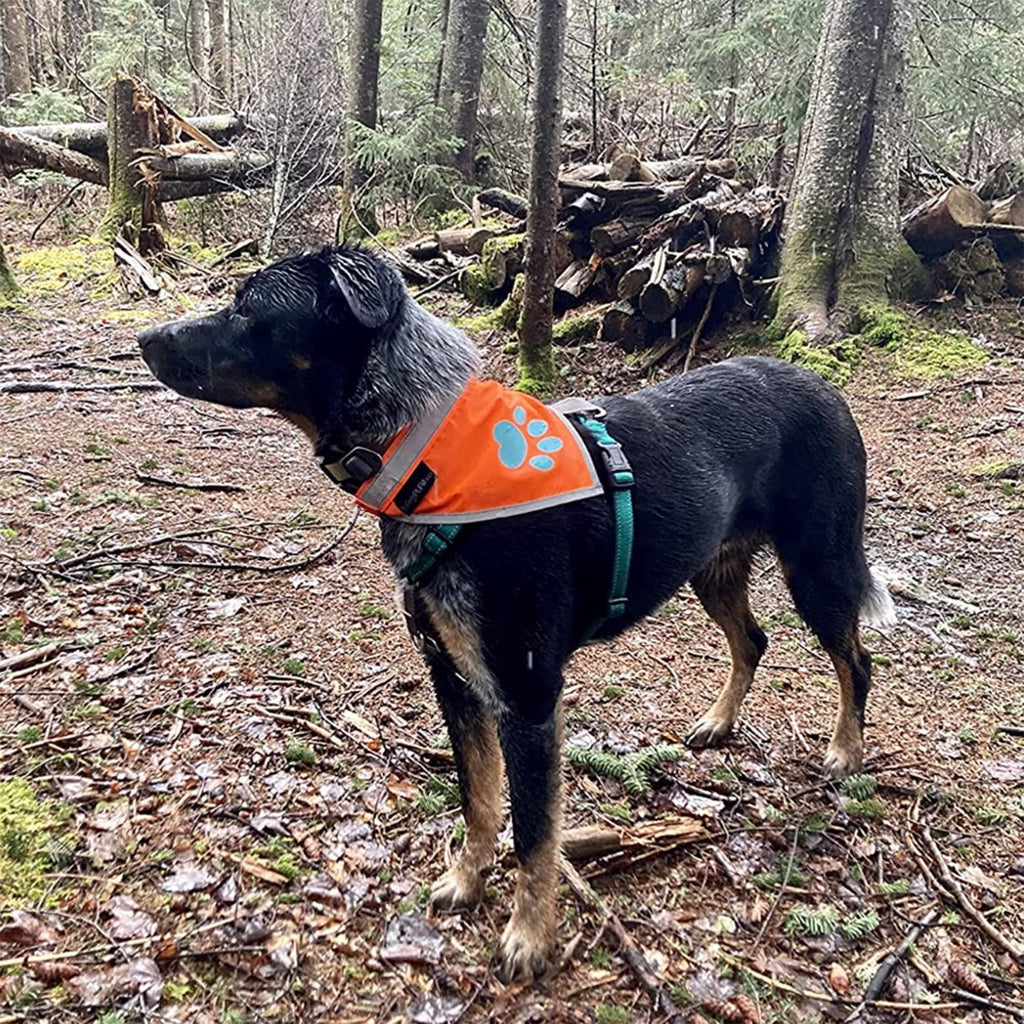 Reflective Dog Bandana Hi-Vis Orange Large