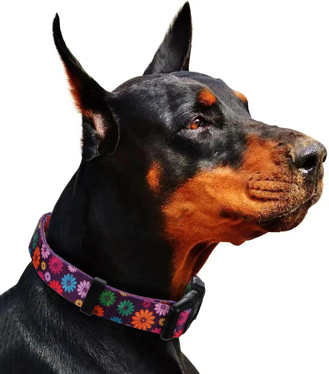 Daisy Floral Dog Collar Large