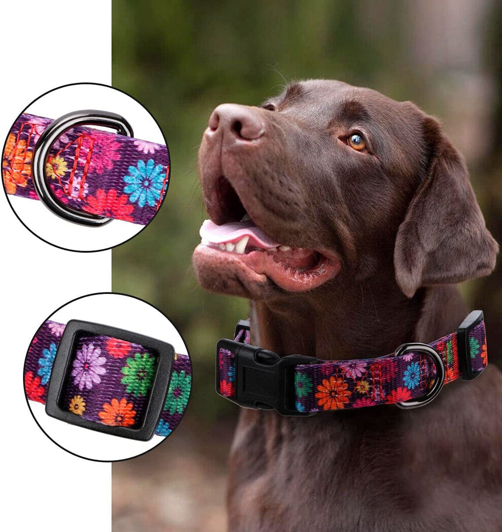 Floral Dog Collar Large