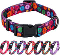 Floral Dog Collar Large