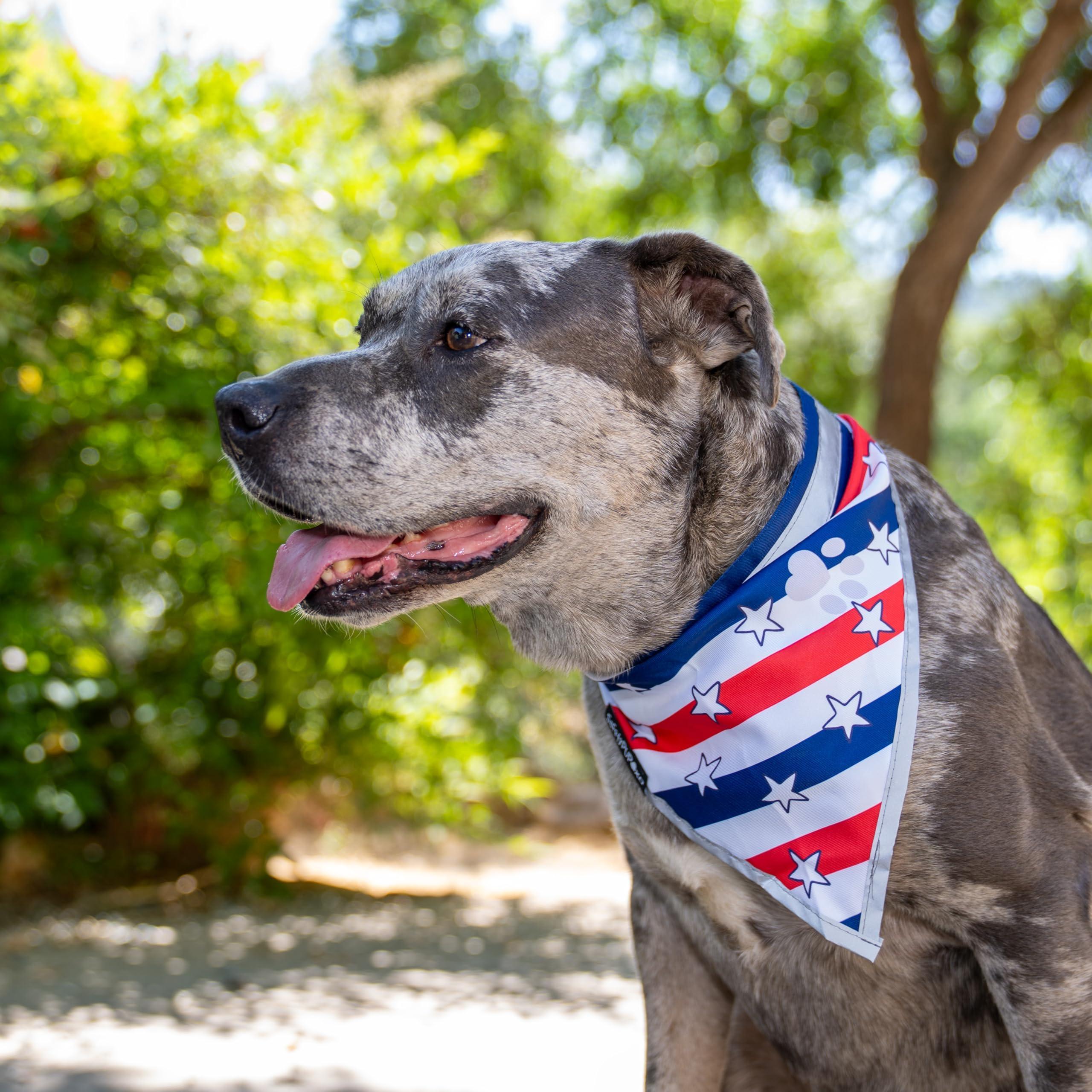 Reflective Pet Bandana 2-Pack Medium