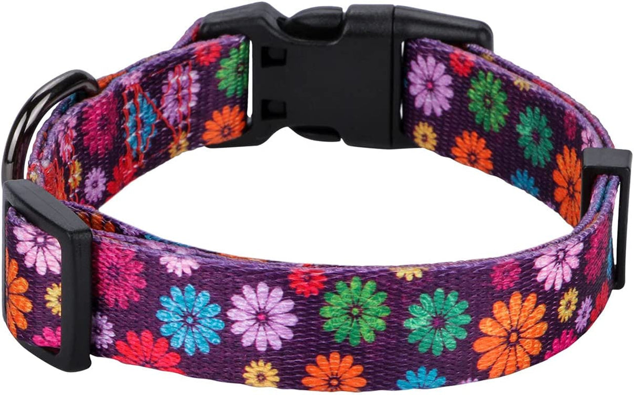 Floral Dog Collar Large